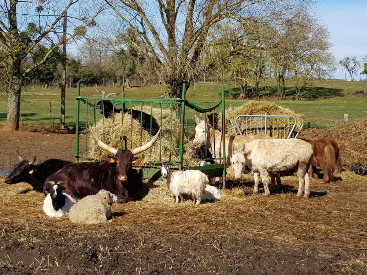 La Ferme Aux Kangourous Donzy Luaran gambar